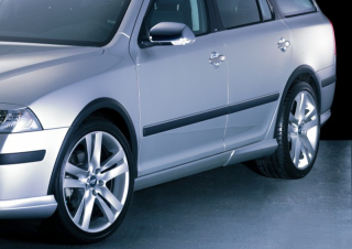 Lemy blatníků, černý rastr - Škoda Octavia II.